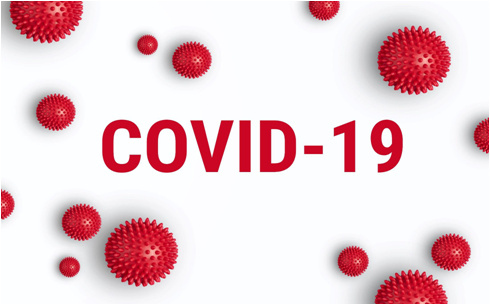 Image result for corona virus presentation